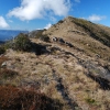 The Alpine Track just north of Mt Howitt.