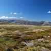 The Bogong High Plains in early summer. This photo was taken not far from Mt Bundara.