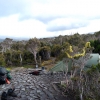 Low Camp below Precipitous Bluff in Tasmania. If you are wondering about the tinsel - it's Chirstmas eve.