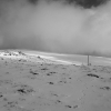 Snow and very handy snow poles on the Bogong High Plains.